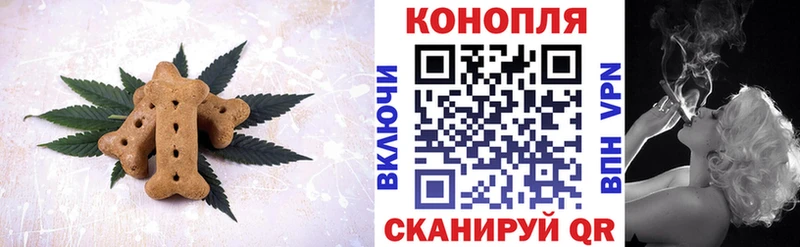 Cannafood конопля  купить закладку  Щёлкино 