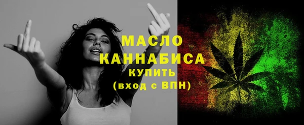 дживик Няндома
